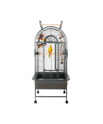 Rainforest Ecuador II Medium Bird Cage - Antique